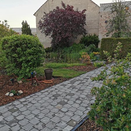 Fewo Rohleder De Mit 130M2 Und Garten Fuer 6Pers Mit 2 Bad كوتبوس المظهر الخارجي الصورة