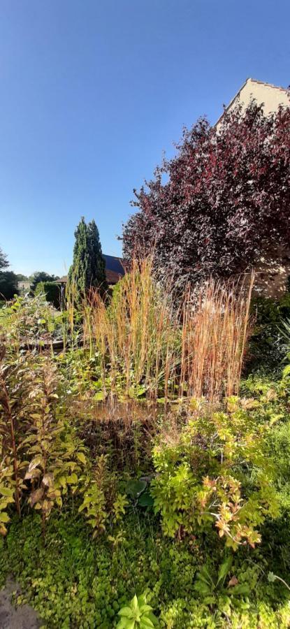 Fewo Rohleder De Mit 130M2 Und Garten Fuer 6Pers Mit 2 Bad كوتبوس المظهر الخارجي الصورة